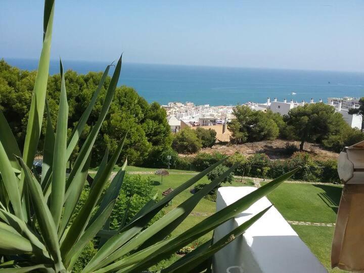 Deluxe Sea View Apartments Τορρεμολίνος Εξωτερικό φωτογραφία